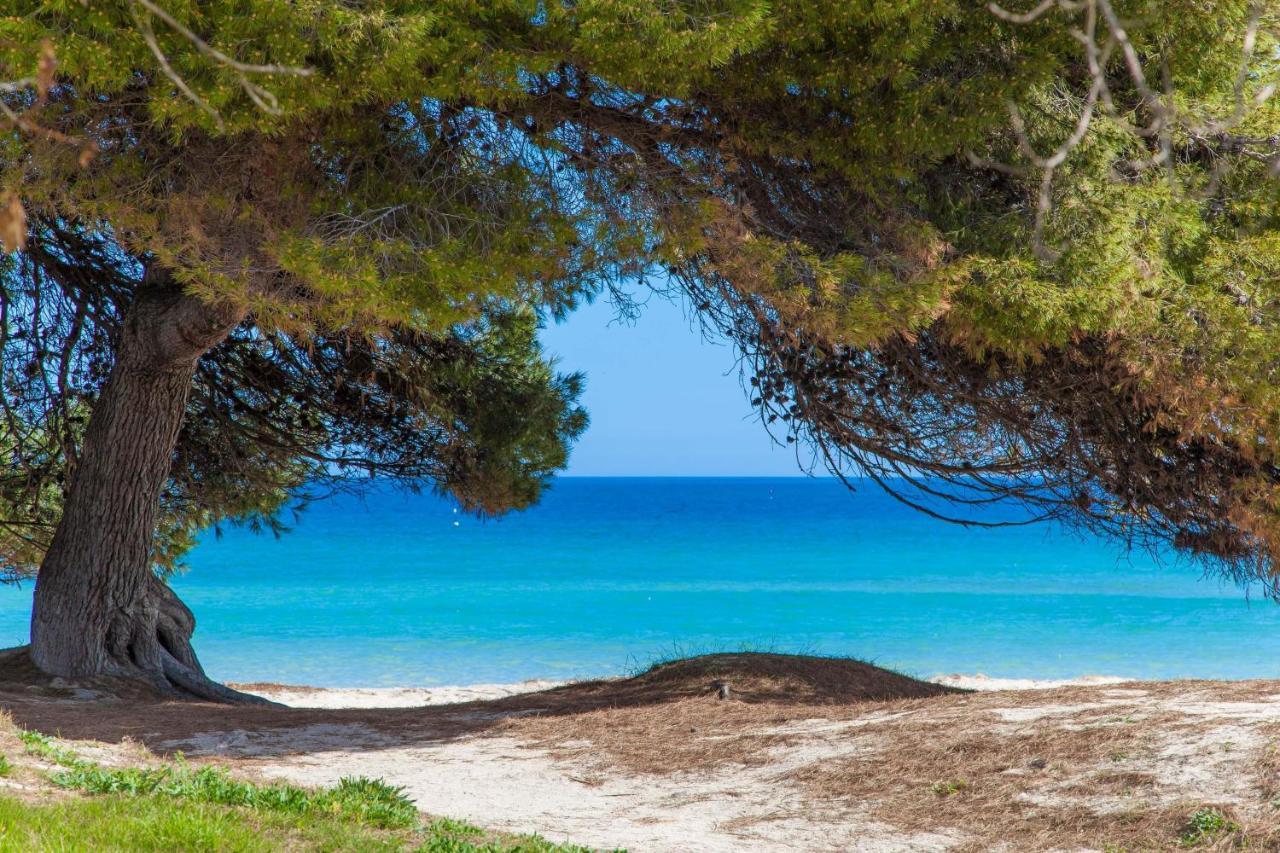 Willa Violeta De Mar Playa de Muro  Zewnętrze zdjęcie